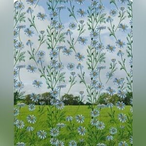 Privacy, Window Film, Countewol, 2 rolls